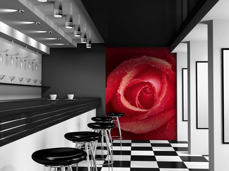 00368_Interior_Rose67-800x800.jpg