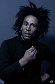 Wizard & Genius Фотообои 645